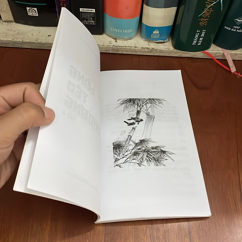 II Sách Ấn Tống: Lòng Yêu Thương (Tập 2) - Trưởng Lão Thích Thông Lạc - 2018 534087