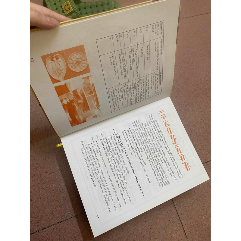 Kỹ Thuật Nấu Ăn Toàn Tập - Triệu Thị Chơi, Mới 80% (Hoi) 337744
