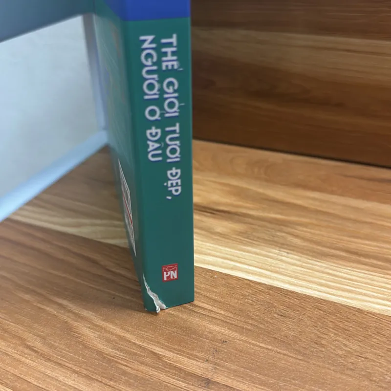 Thế giới tươi đẹp người ở đâu - Sally Rooney 1034365