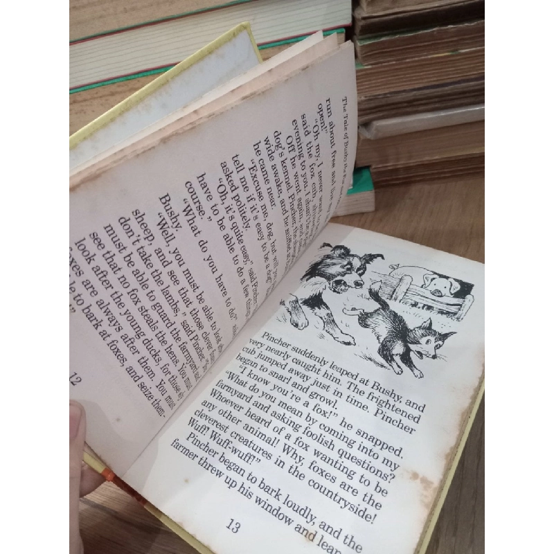 The tale of bushy the fox and other stories - Enid Blyton 800534