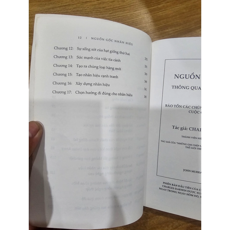 Nguồn gốc Nhãn hiệu  446705