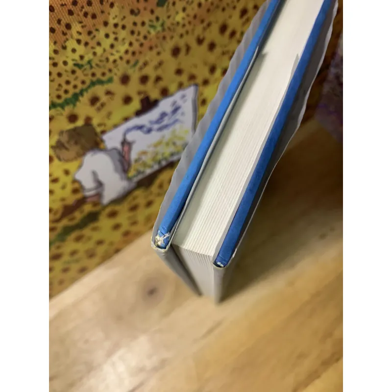 Thất Lạc Cõi Người - Dazai Osamu 1031405