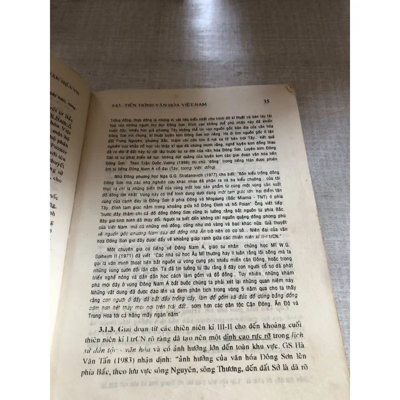 Cơ sở văn hoá Việt Nam 780660