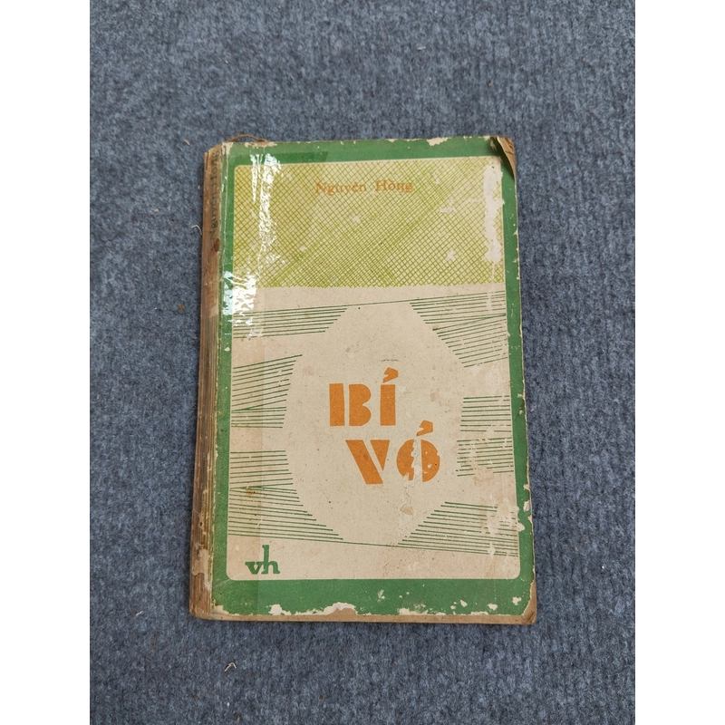 BỈ VỎ - NGUYÊN HỒNG 479751