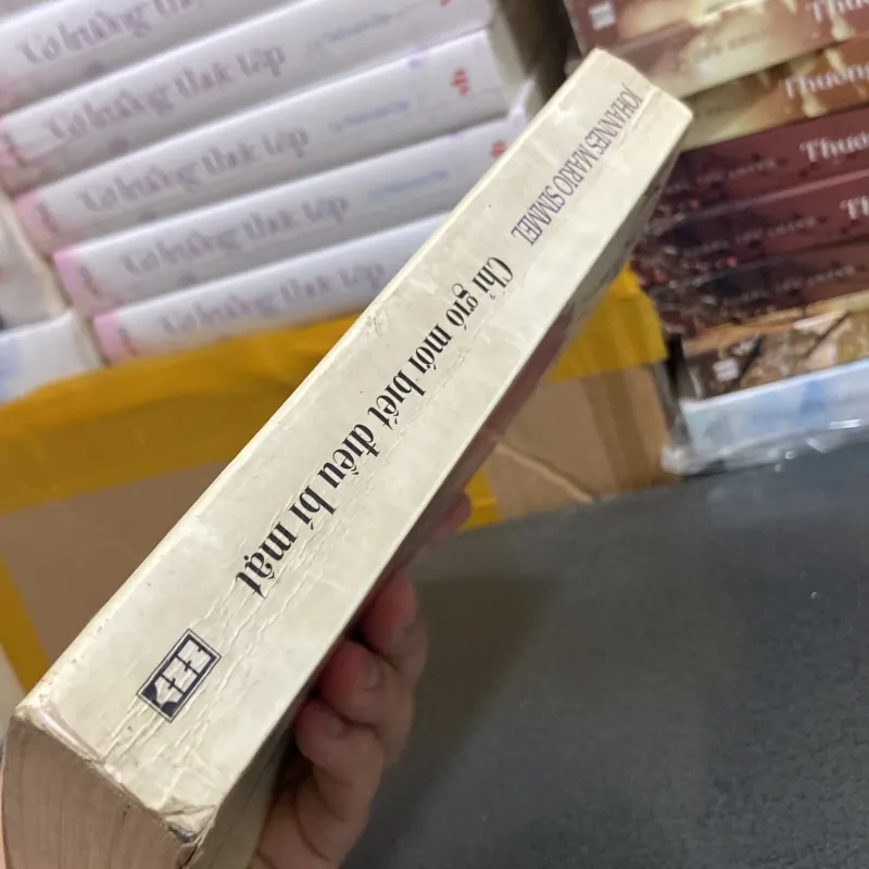 (Văn học) - Chỉ gió mới biết điều bí mật - Johannes Mario Simmel 976112