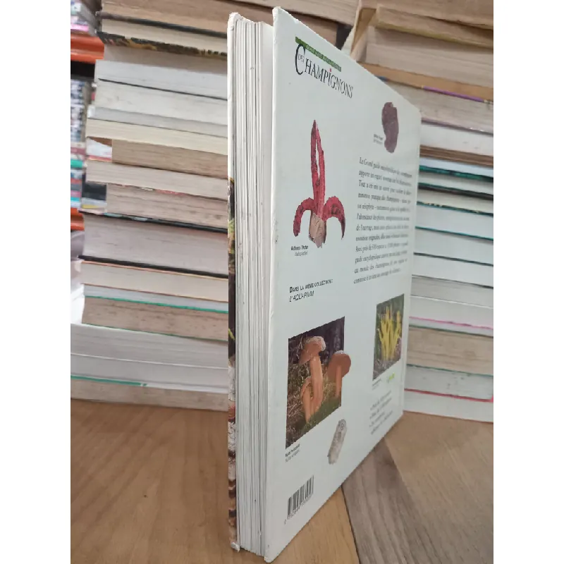 Grand guide encyclopédique des Champignons 712093