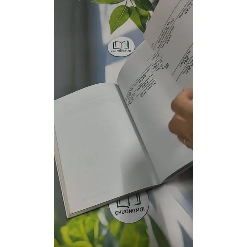 Việt Nam Sử Lược 715609