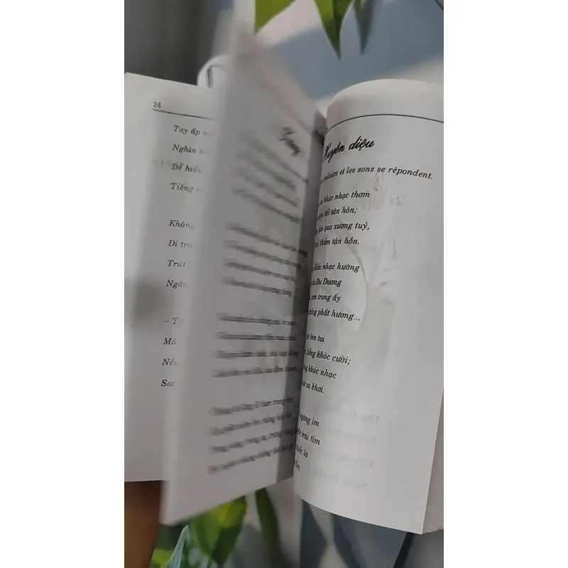 Thơ Xuân Diệu - Bảo Trâm (sưu tầm) 798326