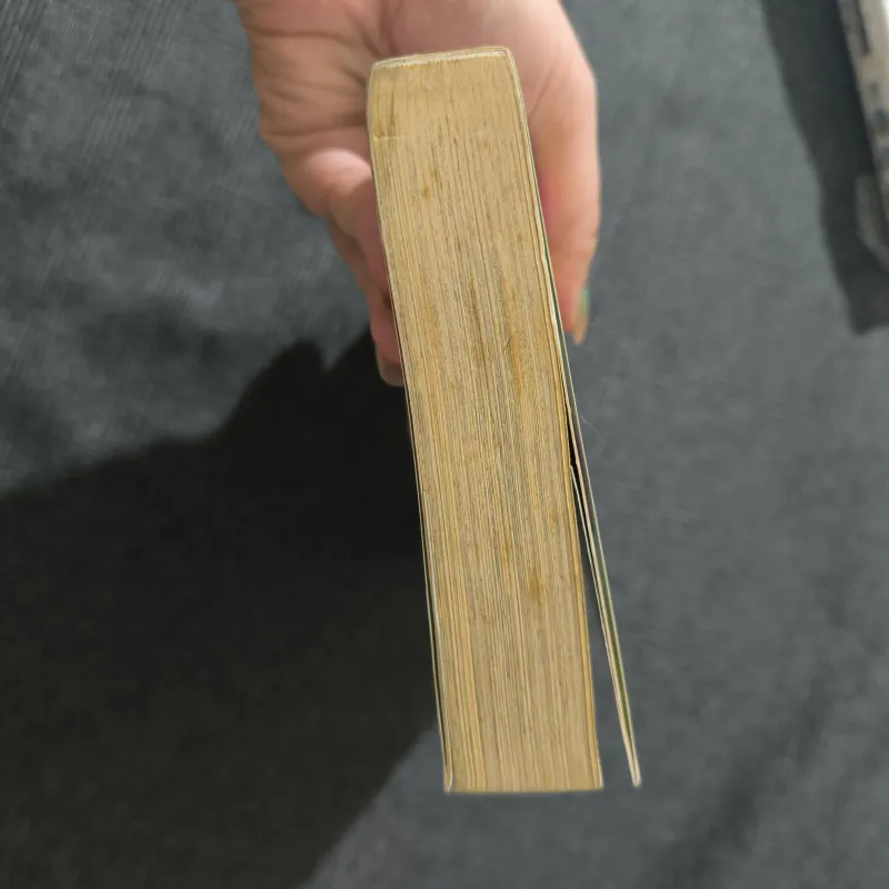 Inuyasha (Bản Deluxe) - Tập 6 - Takahashi Rumiko  788772