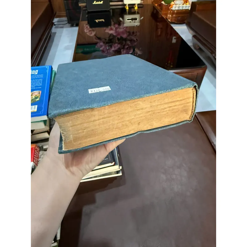 Không Chốn Nương Thân – Ionax Avigiux | Bìa da cổ | Sách hiếm sưu tầm 976278