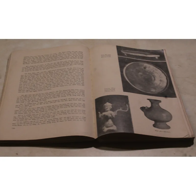 Lịch sử Việt Nam tập 1 994258