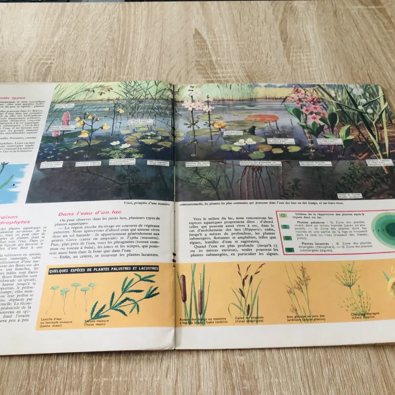 TẠP CHÍ TOUT L’UNIVERS – 1964 (4) 1017367