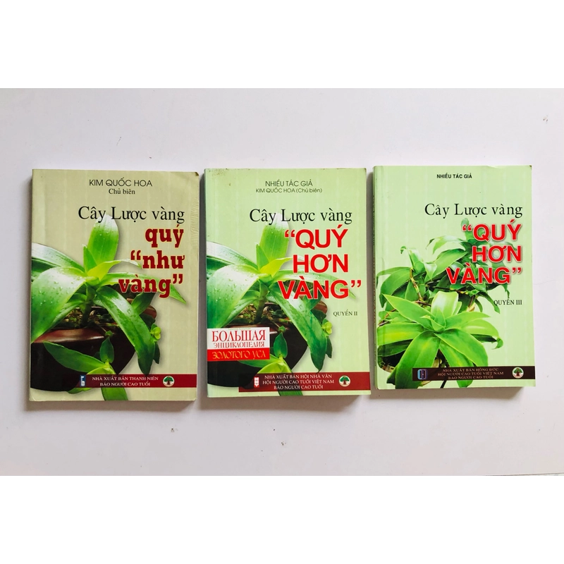BỘ 3 TẬP CÂY LƯỢC VÀNG  526900