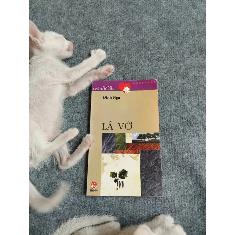 LÁ VỠ - ĐINH NGA 567791