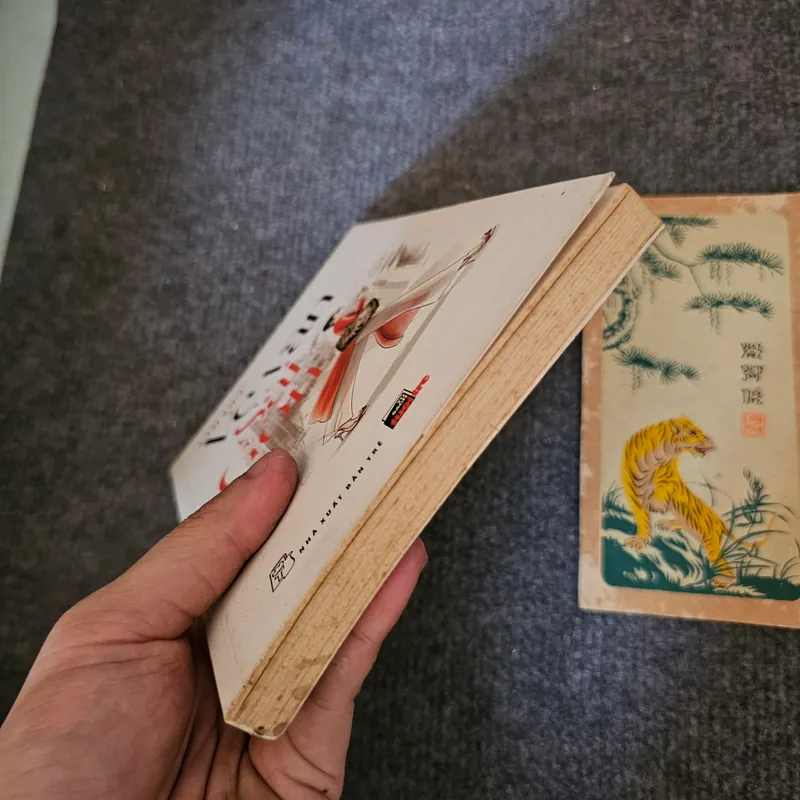 Chị đẹp ve vãn Sài Gòn 735163