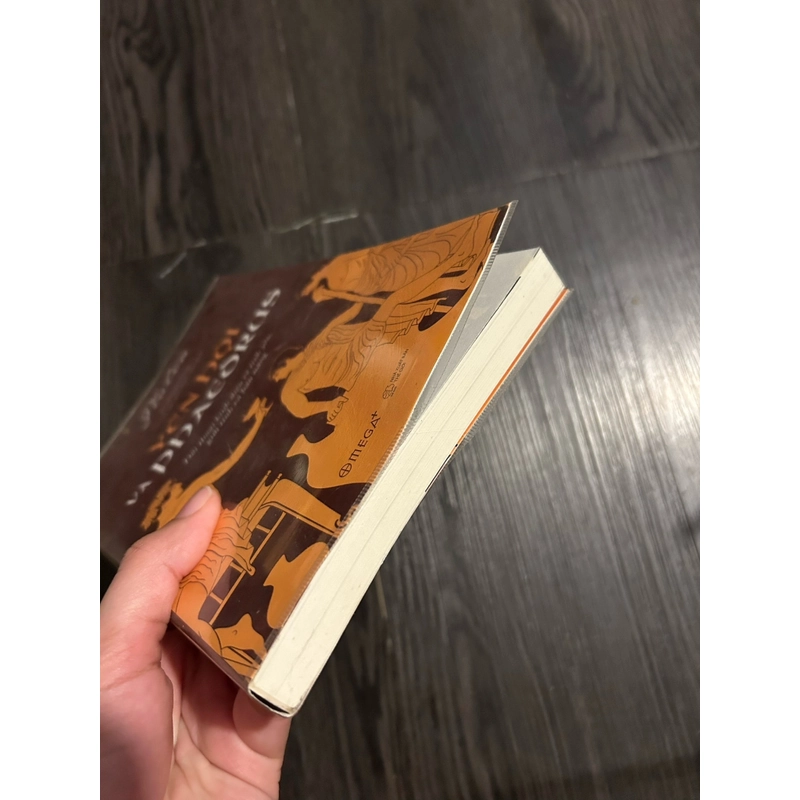 Yến Hội - Plato  323572