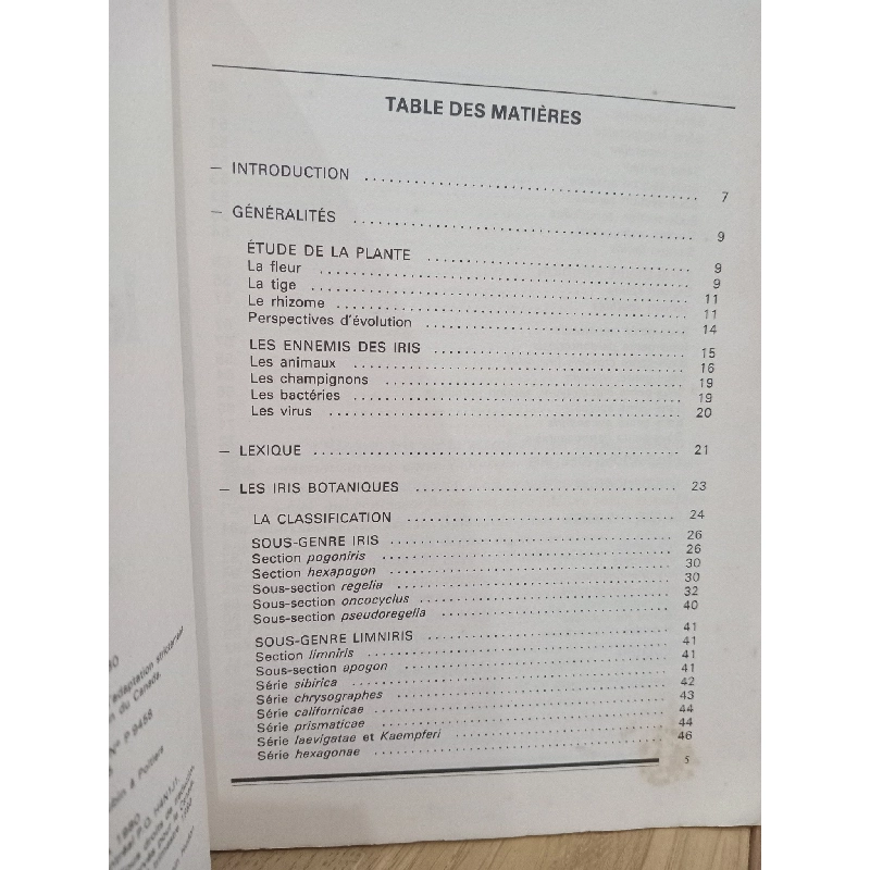 Le jardin d'iris - Alain Richert 541119