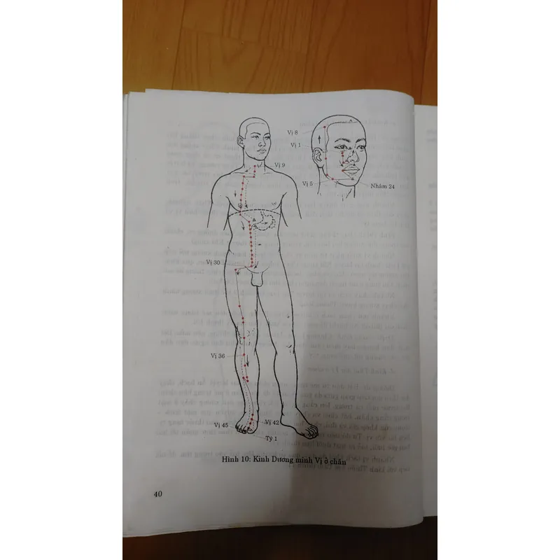 CHÂM CỨU HỌC Trung QUỐC  674270