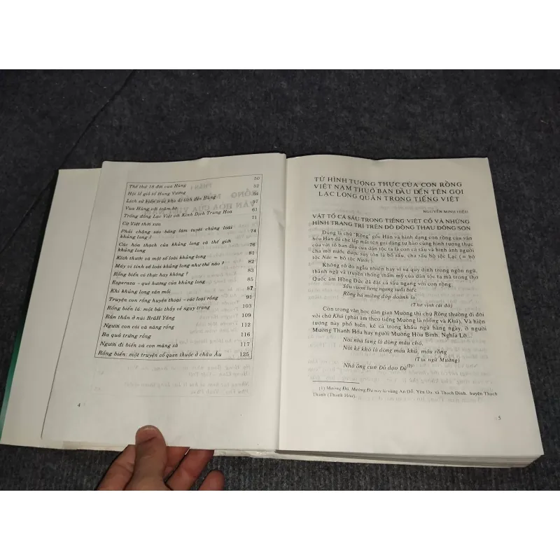 VĂN MINH RỒNG VÀ NĂM 2000 957883