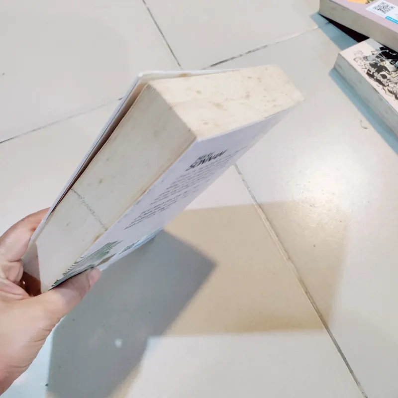 Hồi kí Sơn Nam 596273