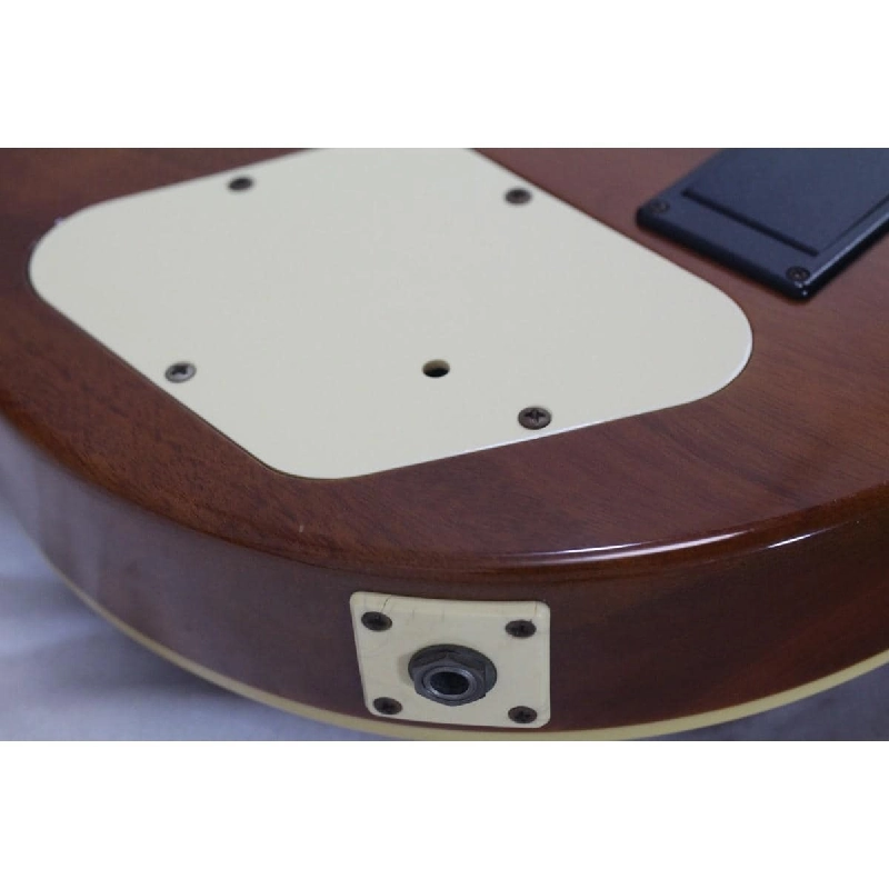 ＢＵＲＮＹ ＲＬＧ－５５Ｓ - Hàng hiệu Authentic 878693