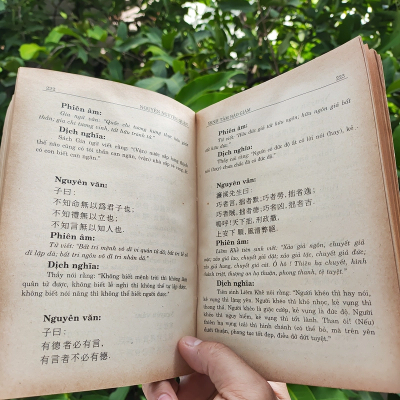 Minh Tâm Bảo Giám - Gương Sáng Soi Sáng Tâm Hồn - Nguyễn Nguyên Quân 525469