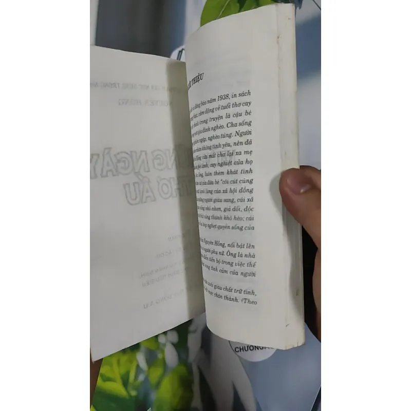 Những Ngày Thơ Ấu - Nguyên Hồng 798480