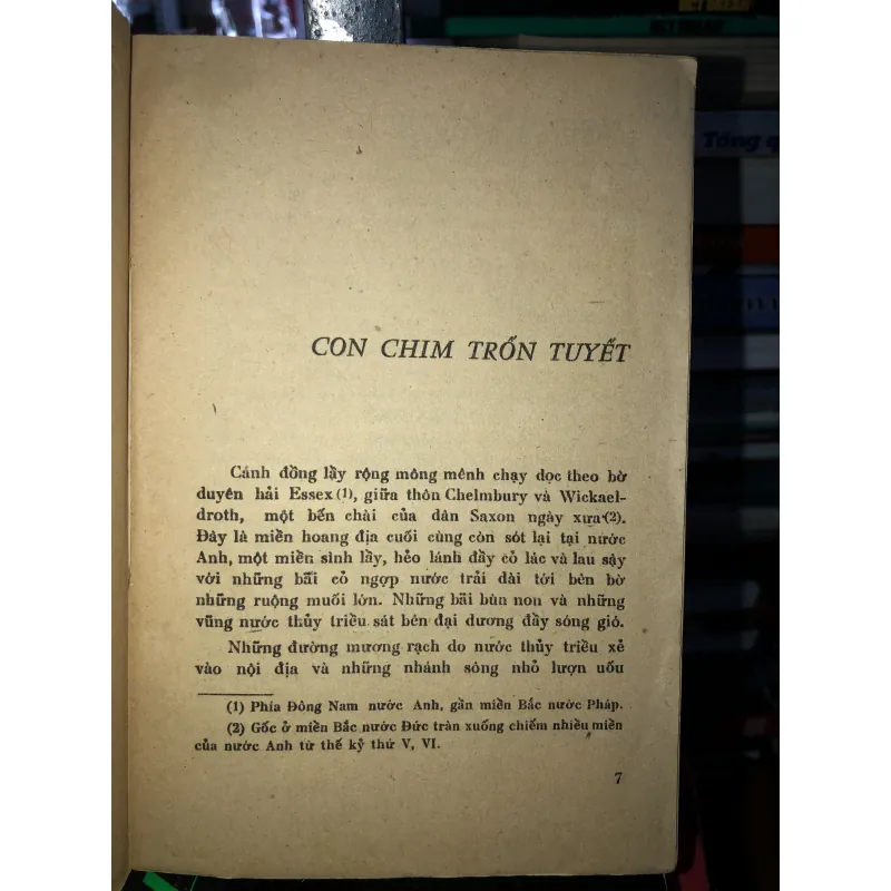 Con chim trốn tuyết - Paul Gallico 793098