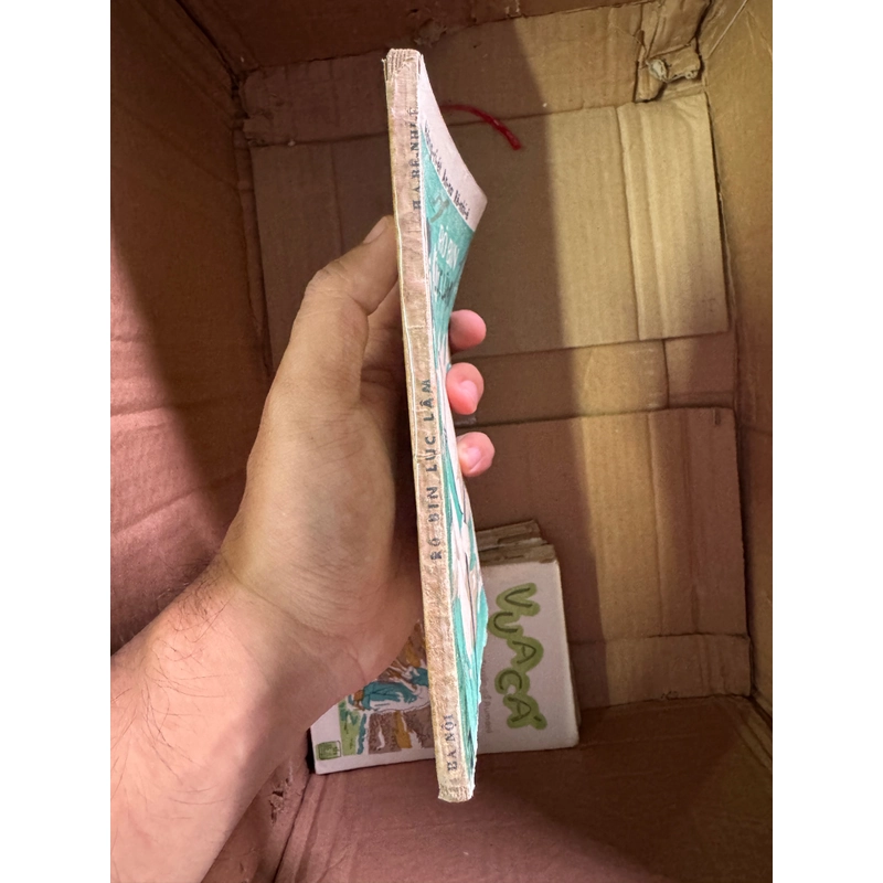 Truyện dân gian Robin Lục Lâm 447621