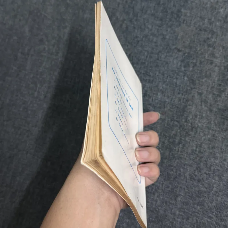 Nơi bình yên chim hót - Lý Lan 785510