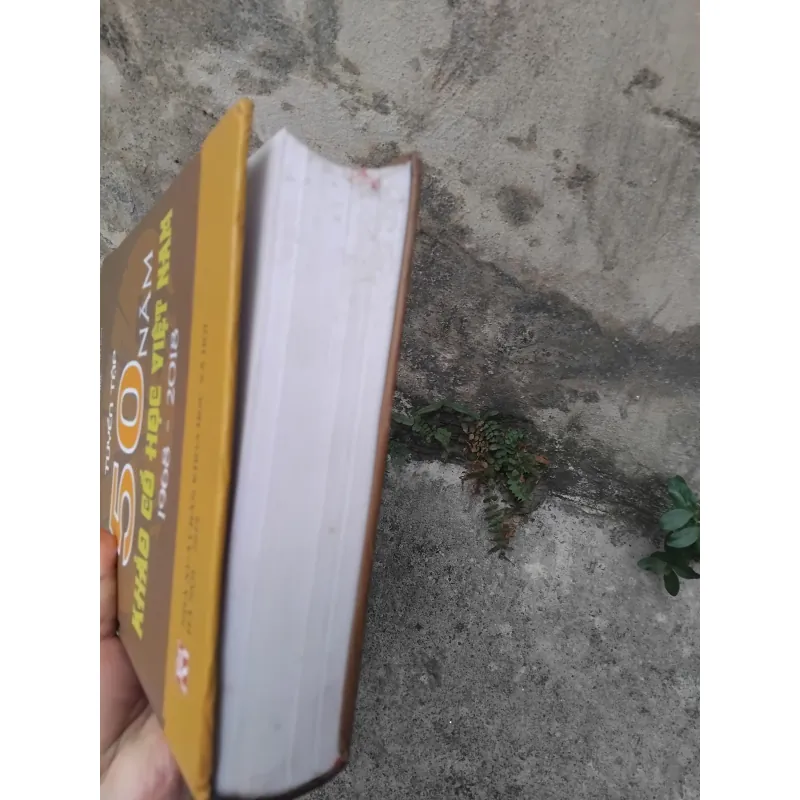Tuyển tập 50 năm khảo cổ học Việt Nam 1968 - 2018 1021803