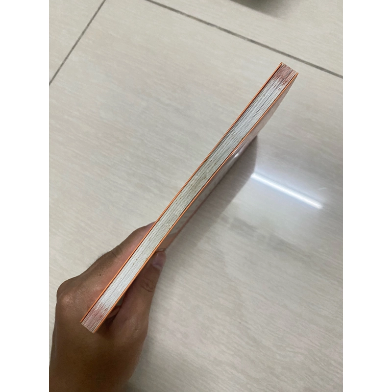 Gởi Người Yêu Dấu for the one I love  472823