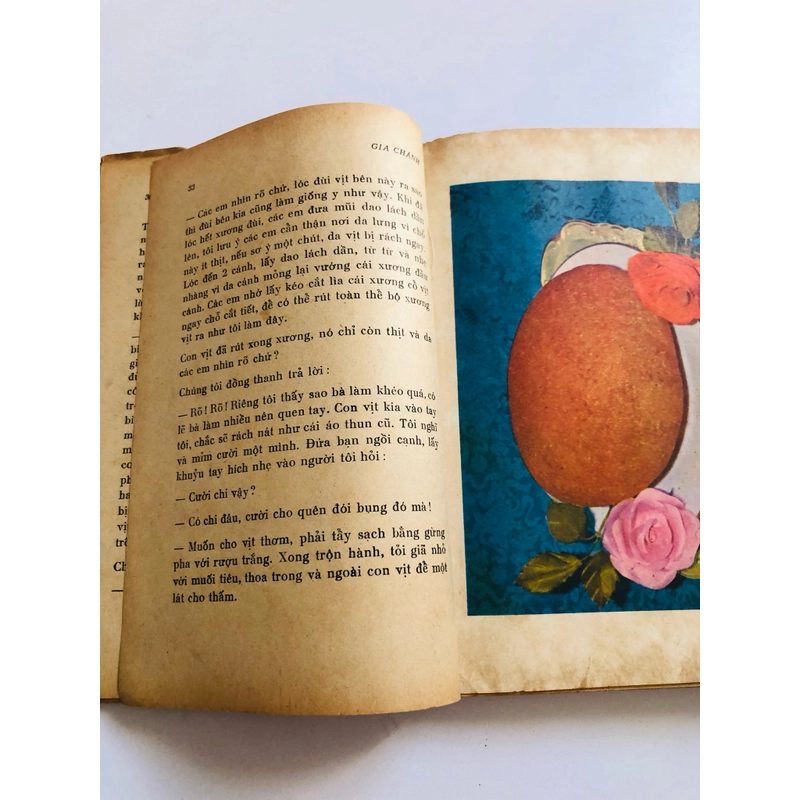 📚 GIA CHÁNH QUỐC VIỆT – Ấn bản 1974, hiếm và giá trị 531180