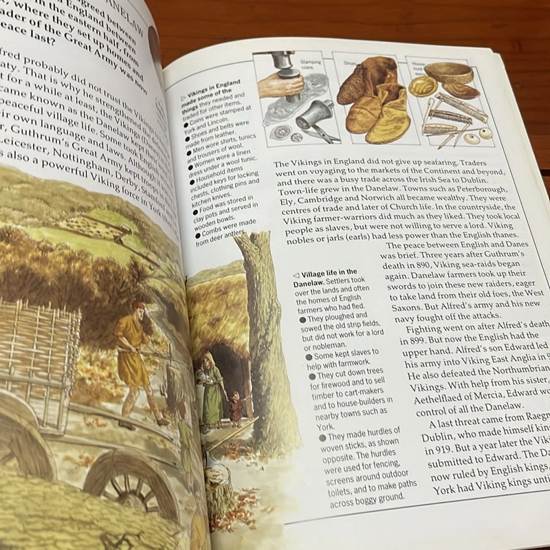PICTURE BOOK The Saxons & Vikings 536307