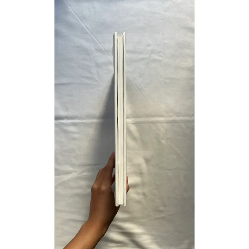 Mondrian - Susanne Deicher 999733