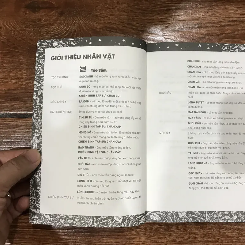 Mèo chiến binh - Vào trong hoang dã (k3) 741025