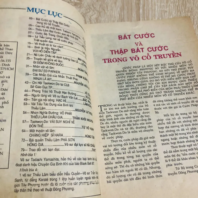 TÌM HIỂU VÕ THUẬT THIẾU LÂM BÁT CƯỚC 531154