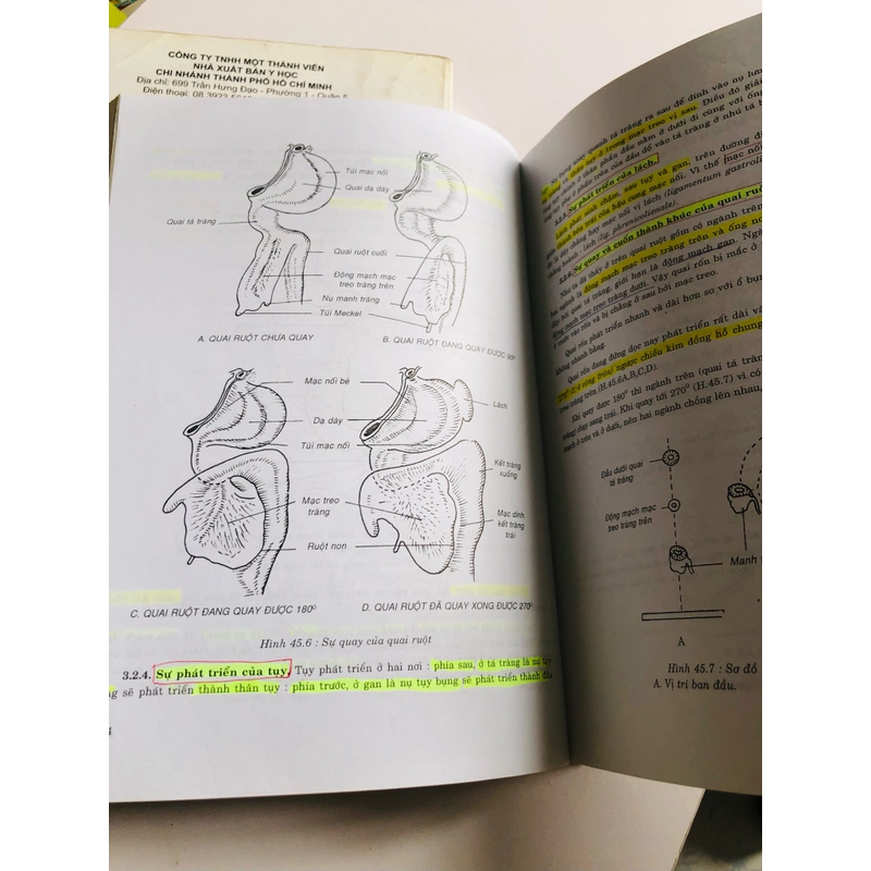 2. BÀI GIẢNG GIẢI PHẪU HỌC ( đủ bộ 2 tập) 536636