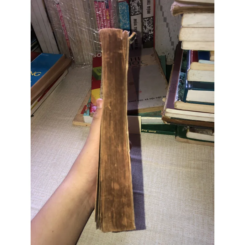 Nhung mối tình và cuộc đời điện ảnh của marilyn Monroe 970495