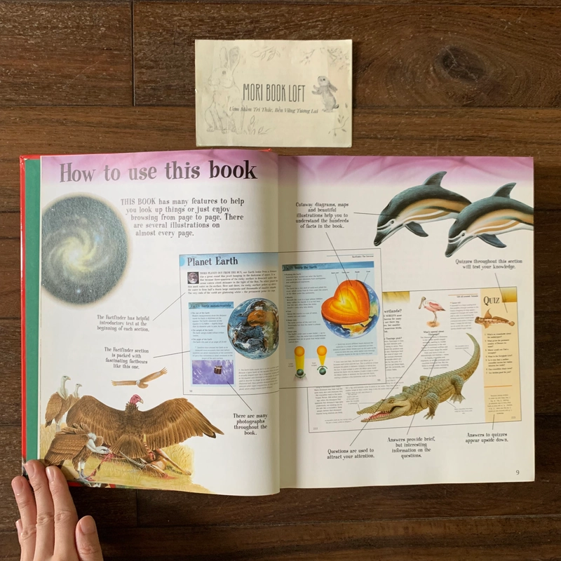 Sách ngoại văn The Big Book of Knowledge, Used, Bìa cứng, Siêu dày 542211