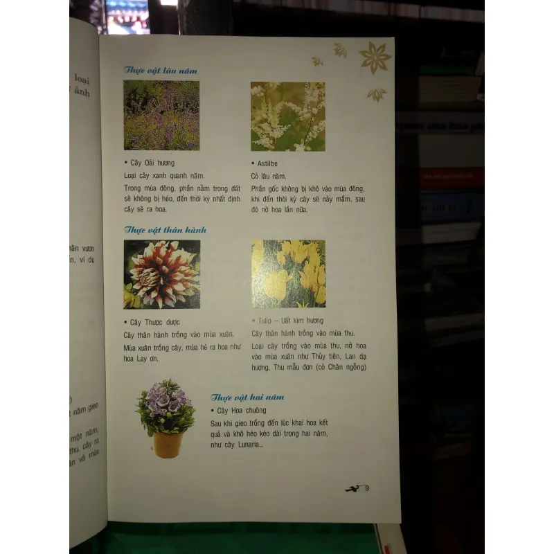 Phương pháp trồng 100 loài hoa trong chậu - Lưu Chí Tùng 785795