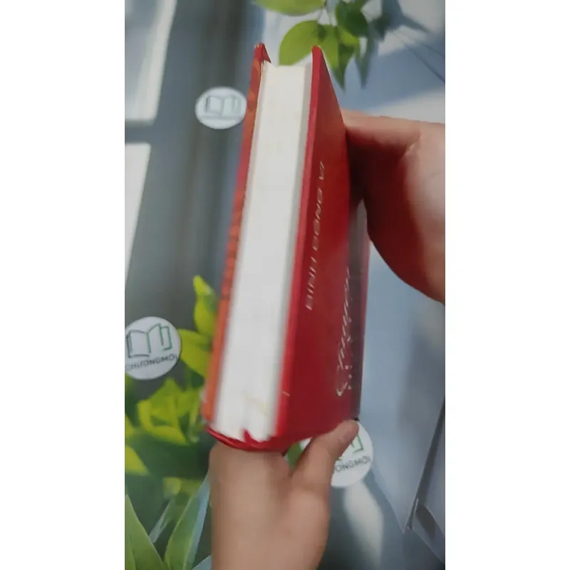 Chuyện Tình Vua Chúa Hoàng Tộc Việt Nam - Đinh Công Vĩ 990453