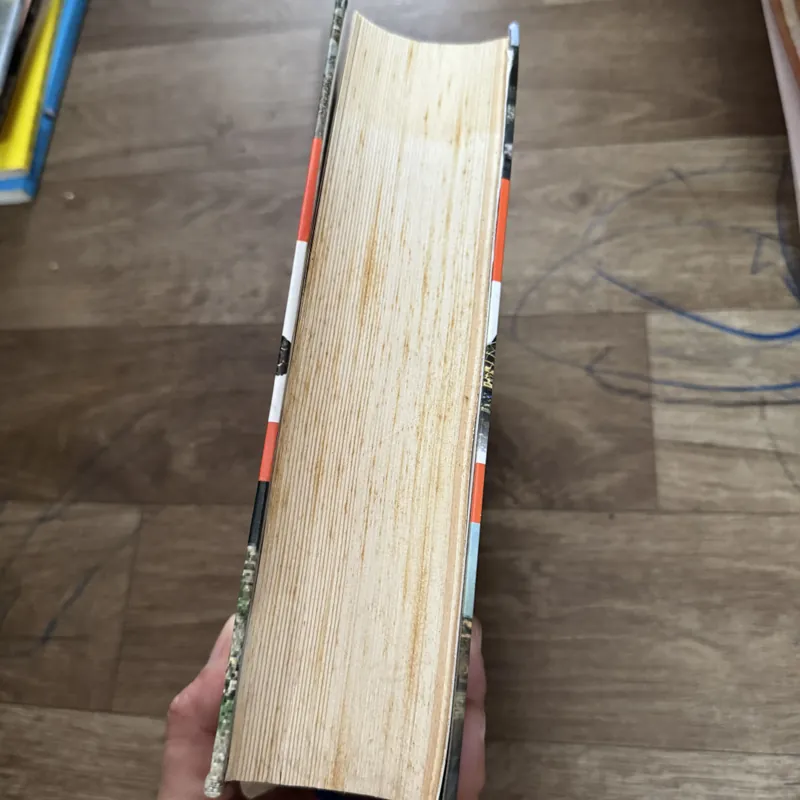 Lịch sử cội nguồn di sản văn hóa 699343