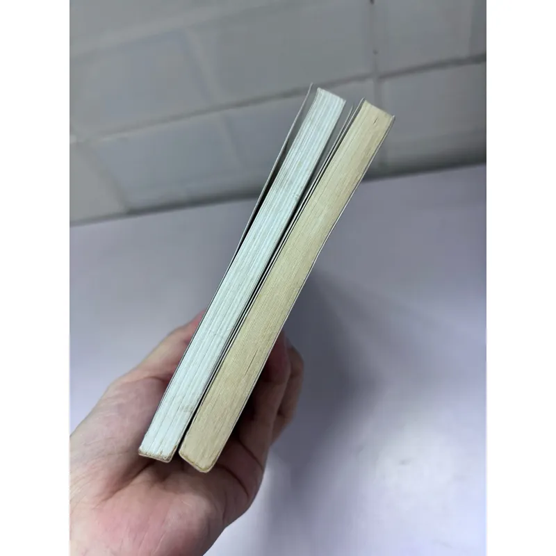 Combo 2c Bá tước Monte Cristo và Hai mươi năm sau 1057842