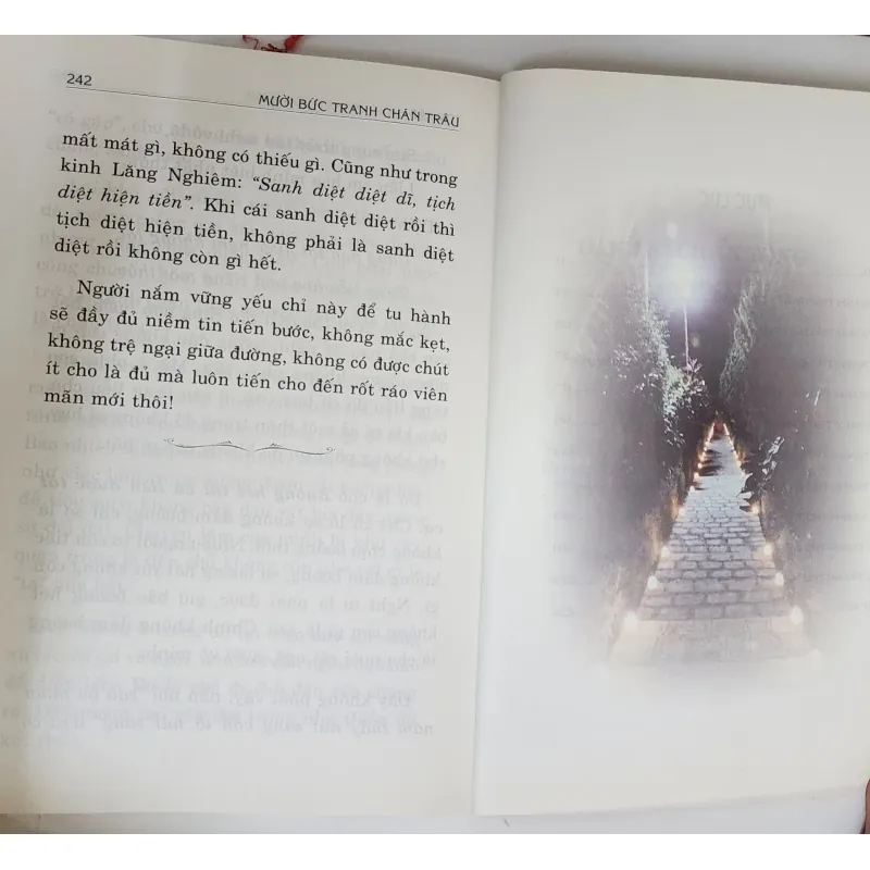 MƯỜI BỨC TRANH CHĂN TRÂU (Thiền viện Trúc Lâm, dịch giảng: Thích Thông Phương) 790998