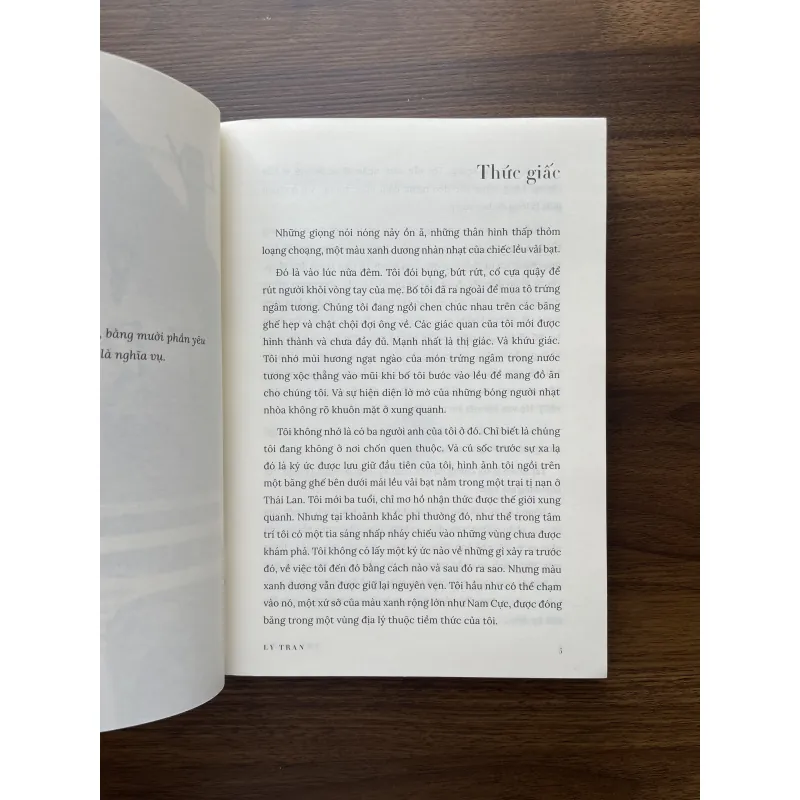 Nhà Tranh - Ly Tran 995159