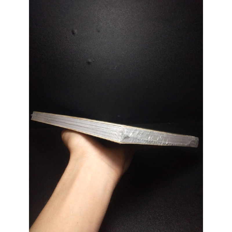 Ăn cơm với cá Giang Vũ mới 90% HCM.ASB0810 356915