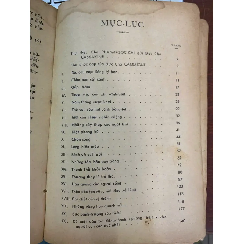 CHA ĐA - MIÊNG TÔNG ĐỒ NGƯỜI HỦI 753352