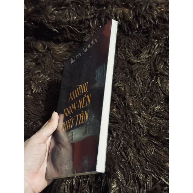 Những ngọn nến cháy tàn (seal) 993239