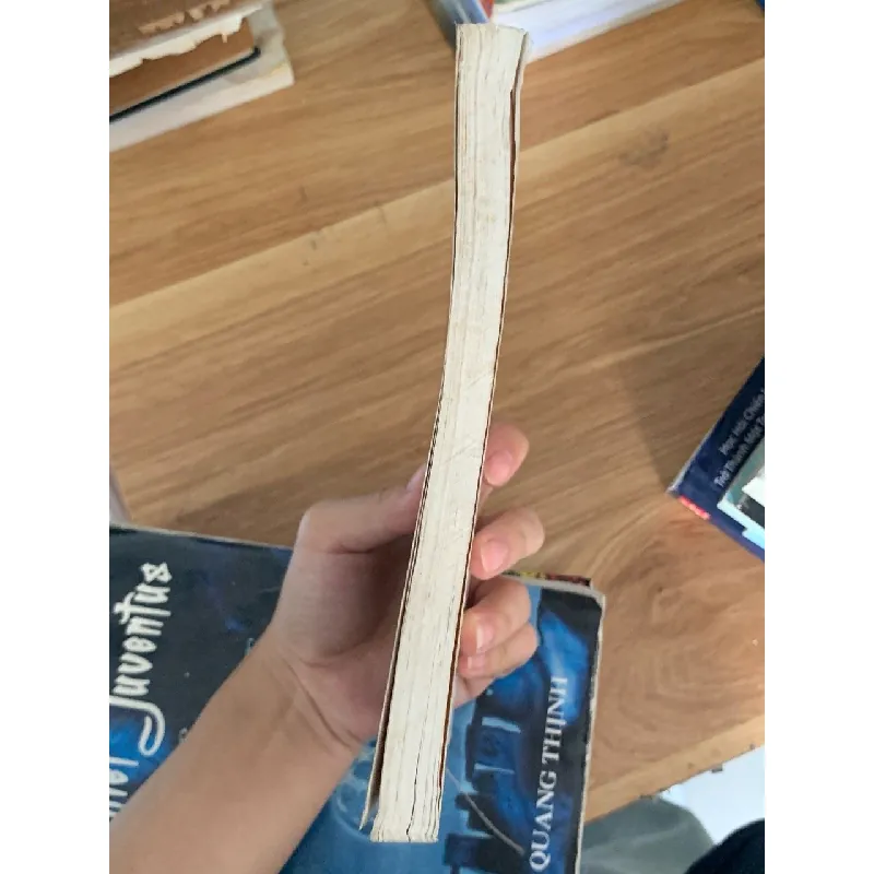 Hoa mận và chim anh vũ – Nguyễn Kế Nghiệp 560395
